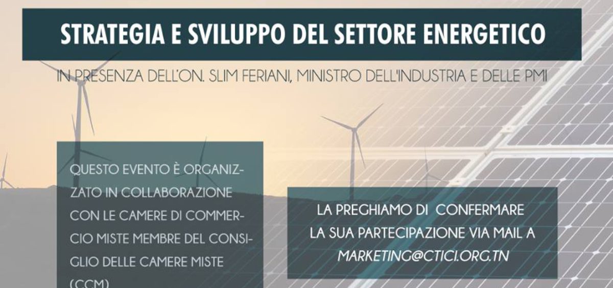 STRATEGIA E SVILUPPO DEL SETTORE ENERGTICO